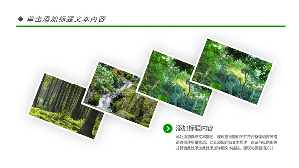绿色环保世界湿地森林日动态PPT模板