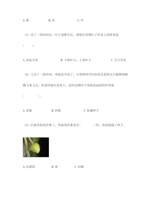 科学四年级下册第一单元《植物的生长变化》测试卷（名师系列）.docx