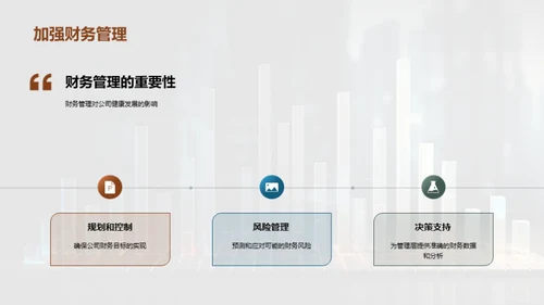 财务概况与战略分析