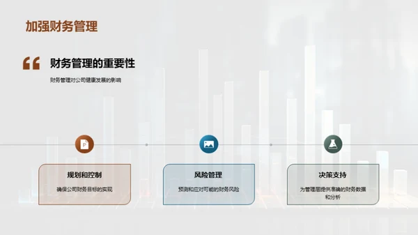 财务概况与战略分析