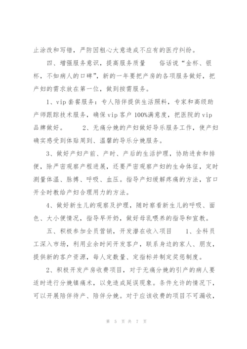 20XX年医院产科工作计划范文.docx
