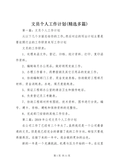 文员个人工作计划(精选多篇).docx