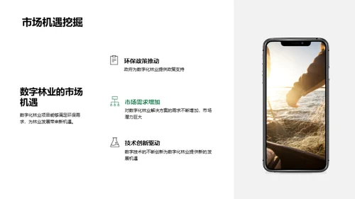 数字驱动的林业革新