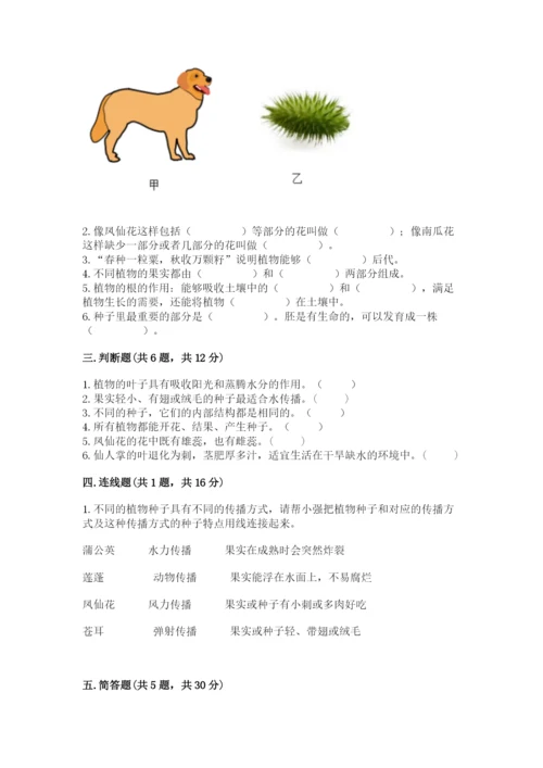 科学四年级下册第一单元《植物的生长变化》测试卷【能力提升】.docx