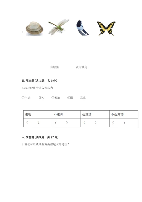 教科版一年级下册科学期末测试卷【能力提升】.docx