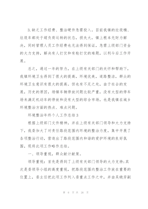 环境整治年终个人工作总结.docx