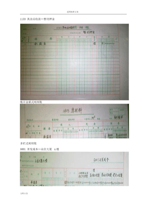 010xxxx王x会计实验实验1期初建账