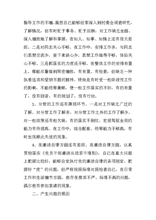 民主生活会政府副乡长发言提纲