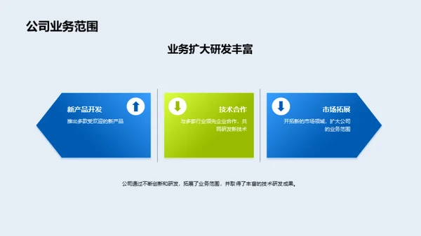公司年度绩效回顾