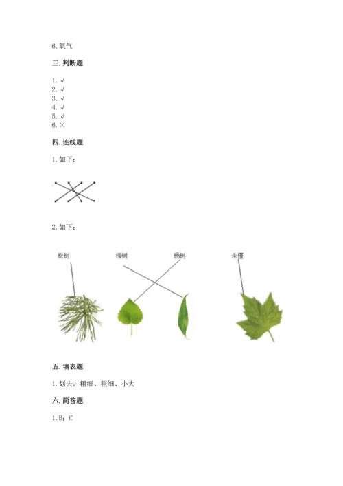 教科版科学一年级上册第一单元《植物》测试卷附完整答案【全优】.docx