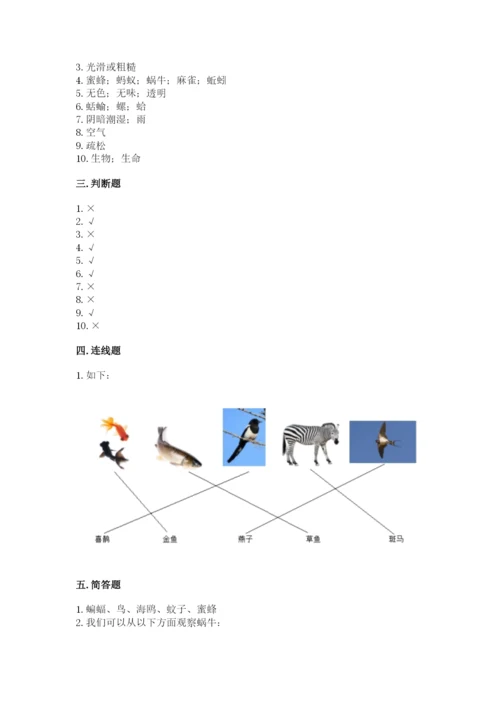 教科版一年级下册科学期末测试卷精品（完整版）.docx