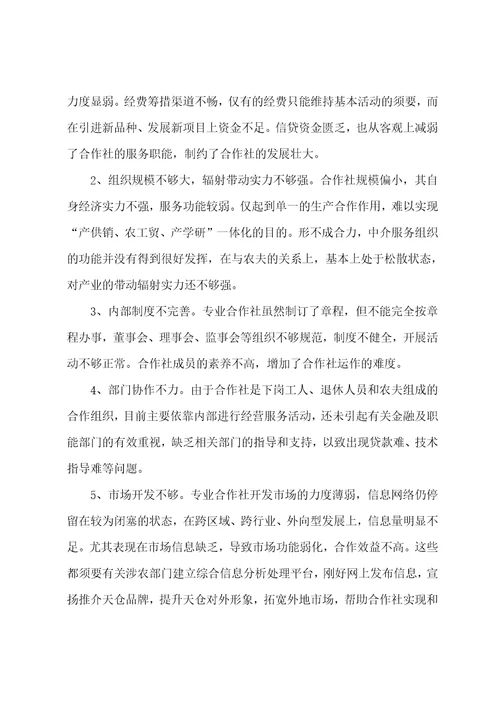 杂粮种植专业合作社调查报告