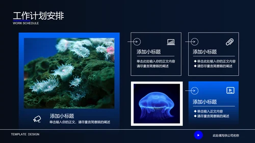 深蓝色自然生物教学通用PPT演示模板