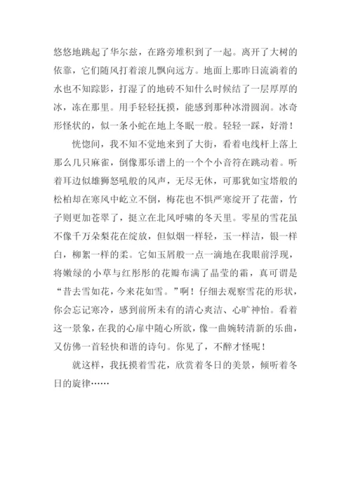 冬日的旋律作文.docx