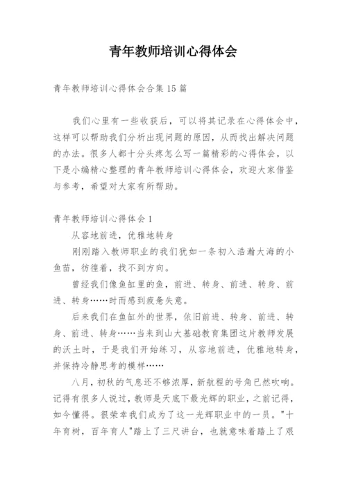 青年教师培训心得体会.docx