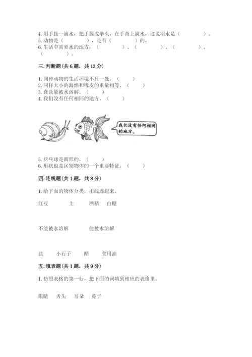 教科版小学科学一年级下册期末测试卷附参考答案（综合题）.docx