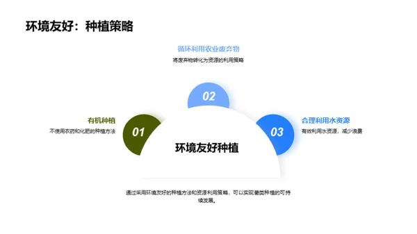 绿色薯种：环保农业