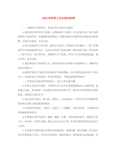 精编之年护师工作计划书范例.docx