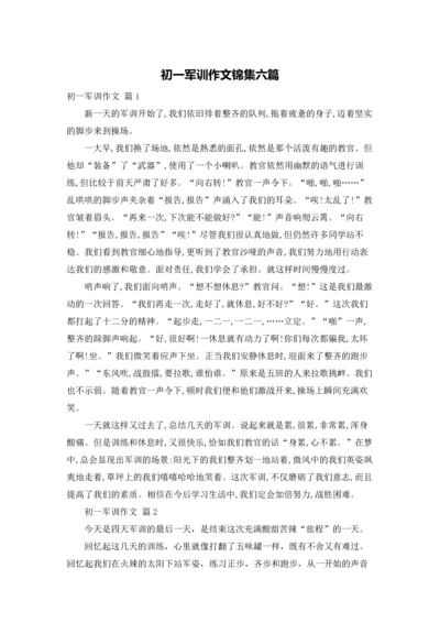 初一军训作文锦集六篇.docx