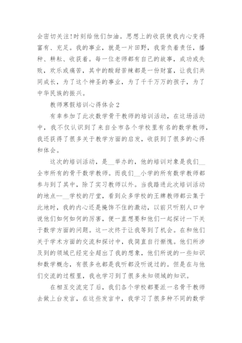 教师寒假培训心得体会5篇2022.docx