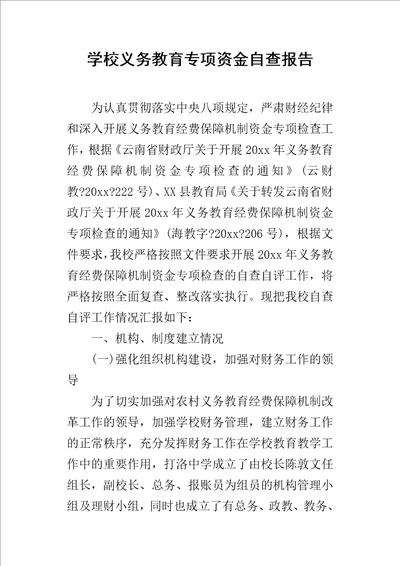 学校义务教育专项资金的自查报告