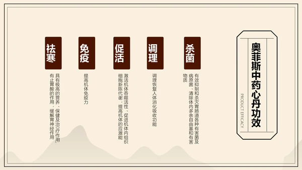 中国风中医药医疗保健产品介绍
