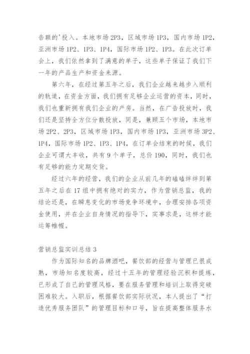 营销总监实训总结.docx