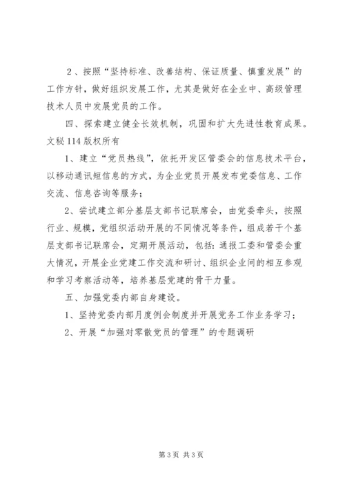 开发区企业党委工作计划要点.docx