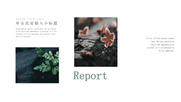 绿色小清新花卉总结报告PPT模板