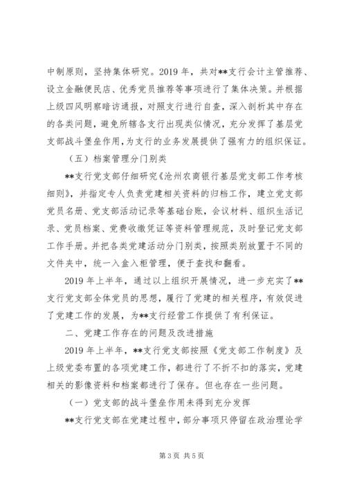 支行党支部XX年上半年工作总结和下半年工作计划.docx