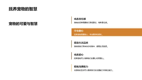 我和我的宠物