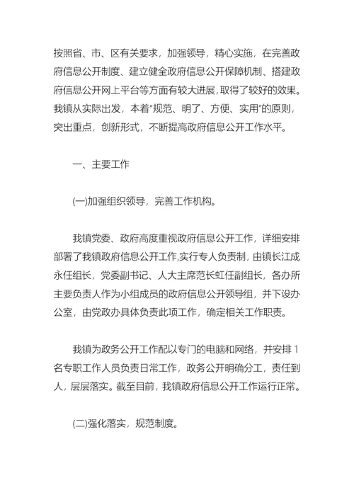 2021乡镇政务公开自查报告范文(1)