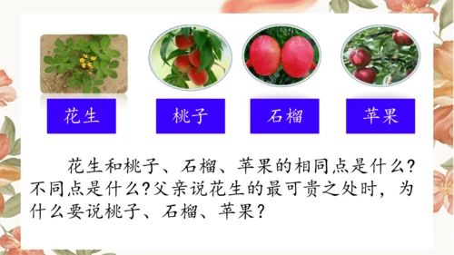 2 落花生 课件
