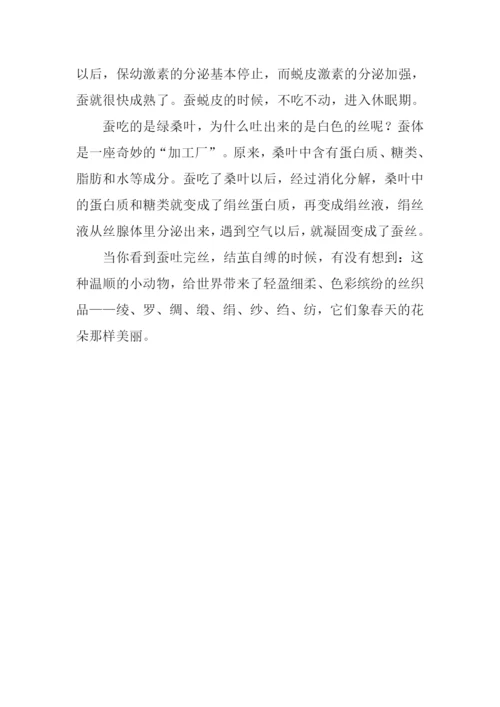 蚕宝宝的一生作文.docx
