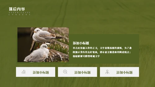 蜜蜂采蜜自然与科学通用PPT模板