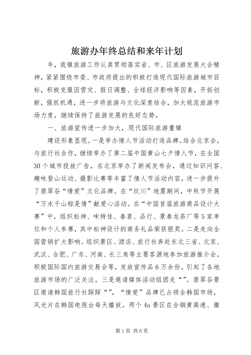 旅游办年终总结和来年计划.docx