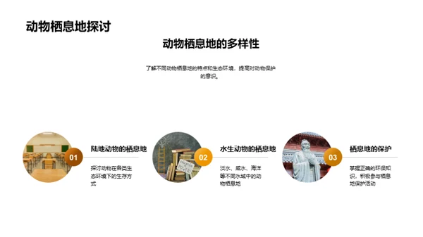 探秘动物世界