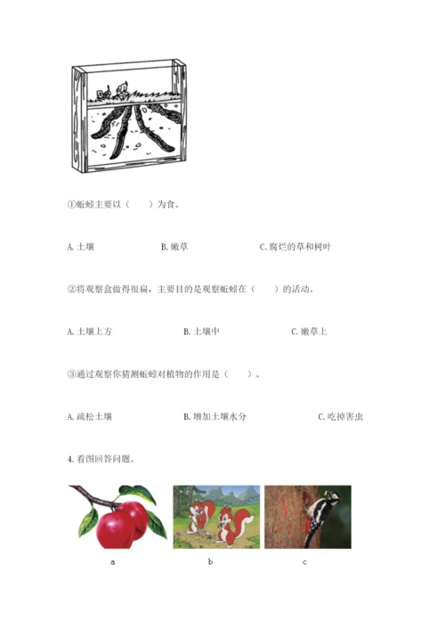 教科版二年级上册科学期末考试试卷精品（模拟题）.docx