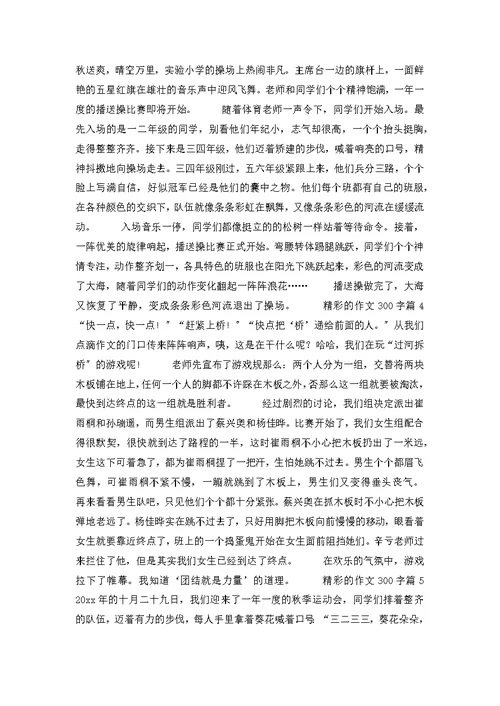 精彩的作文300字合集10篇