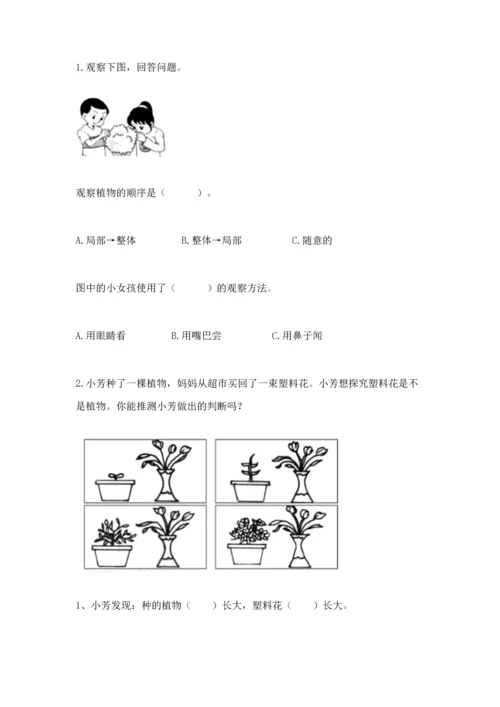 教科版科学一年级上册第一单元《植物》测试卷含答案（满分必刷）.docx