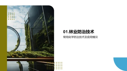 林业防治创新之路