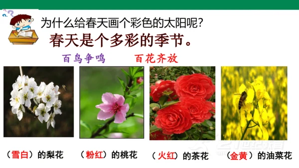 课文3 四个太阳