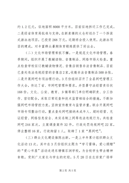 县文体广新局上半年工作报告.docx