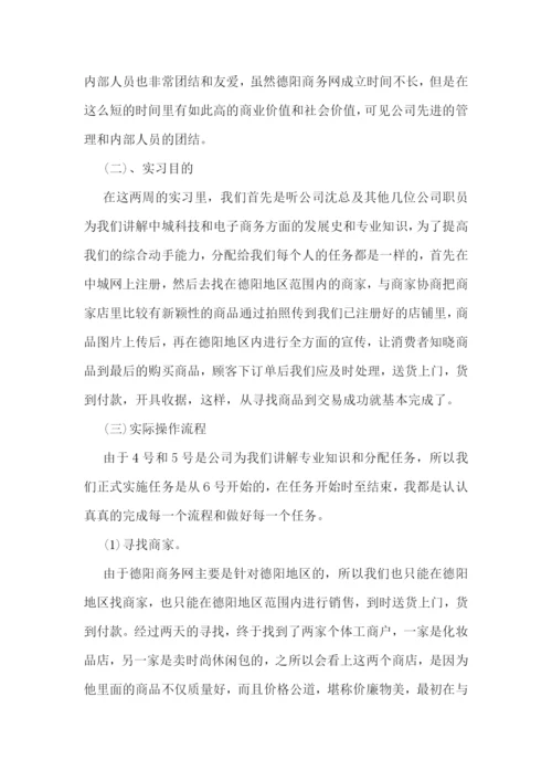 电子商务实习报告精选.docx