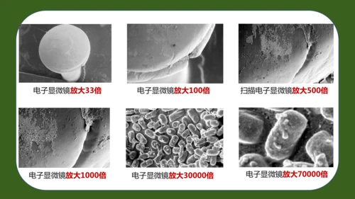 人教版生物七年级上册2.3.1《微生物的分布》（教学课件）(共37张PPT)+视频素材