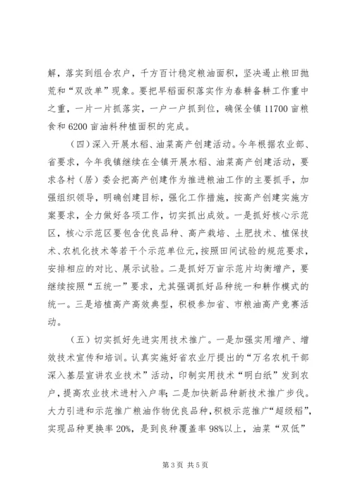 粮油生产工作实施计划.docx