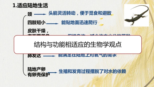 人教版 初中生物七年级上册2.2.2脊椎动物（两栖动物和爬行动物）课件(共21张PPT)+ 视频素材