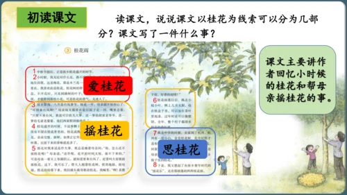 3.桂花雨  课件