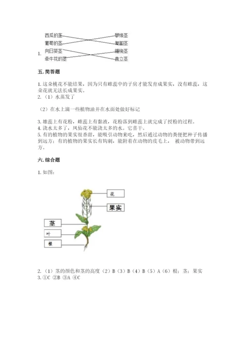 教科版四年级下册科学第一单元《植物的生长变化》测试卷（实用）.docx