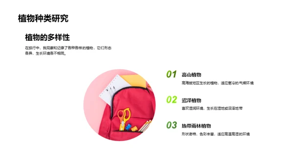 生态漫游：探索与认知